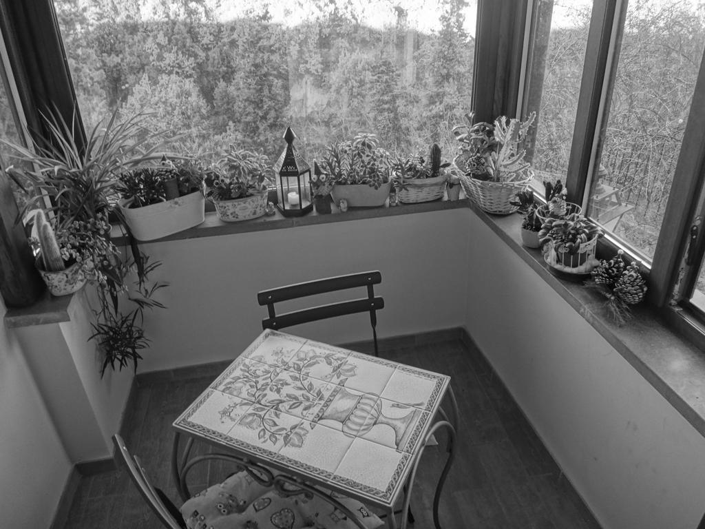 La Casetta Della Nonna Bagnoregio Quarto foto